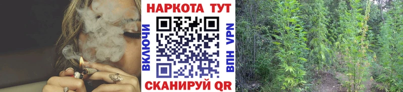 Названия наркотиков Новотитаровская hydra ссылки  Меф  Гашиш  Марихуана  Амфетамин 